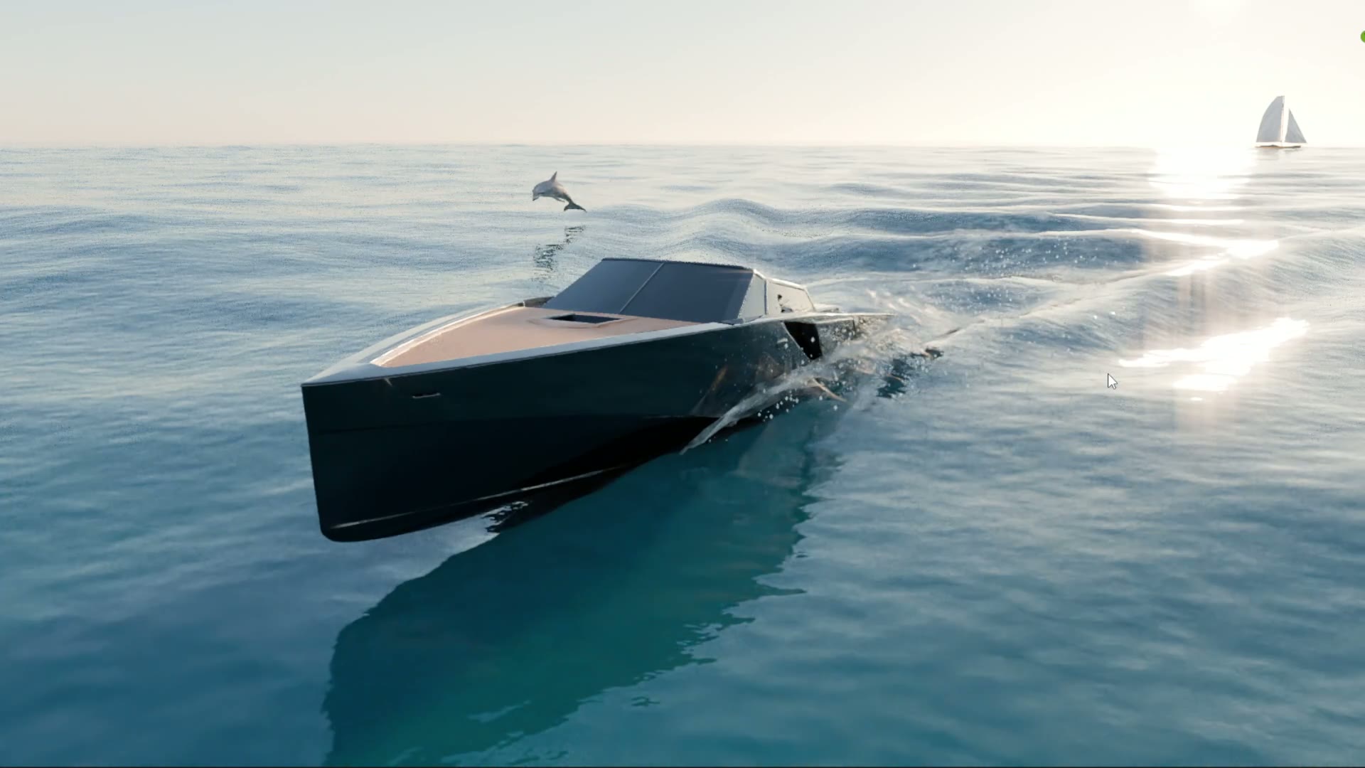 The boat running past a dolphin breaking the surface