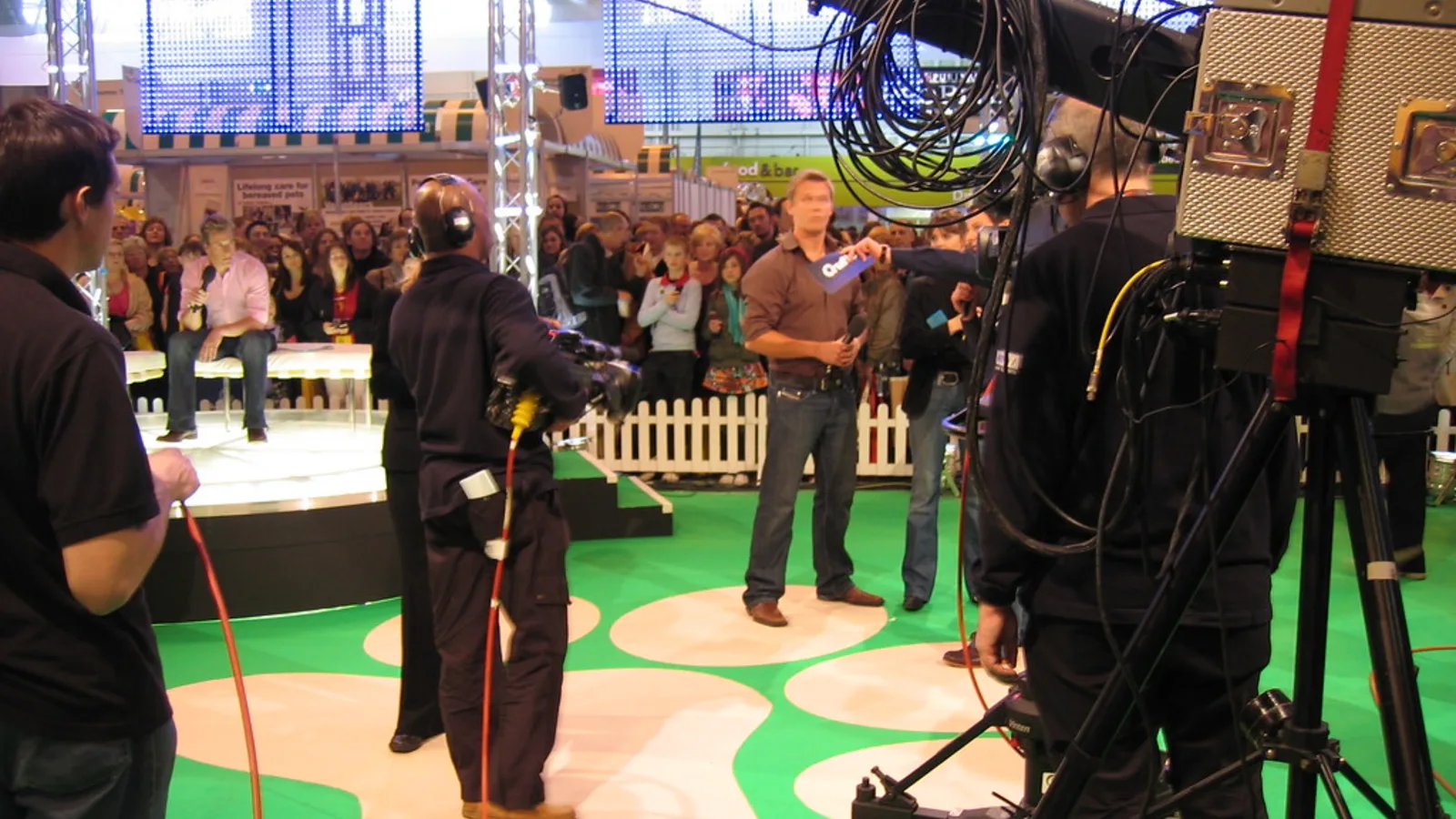 Crufts - BBC Studio (19)